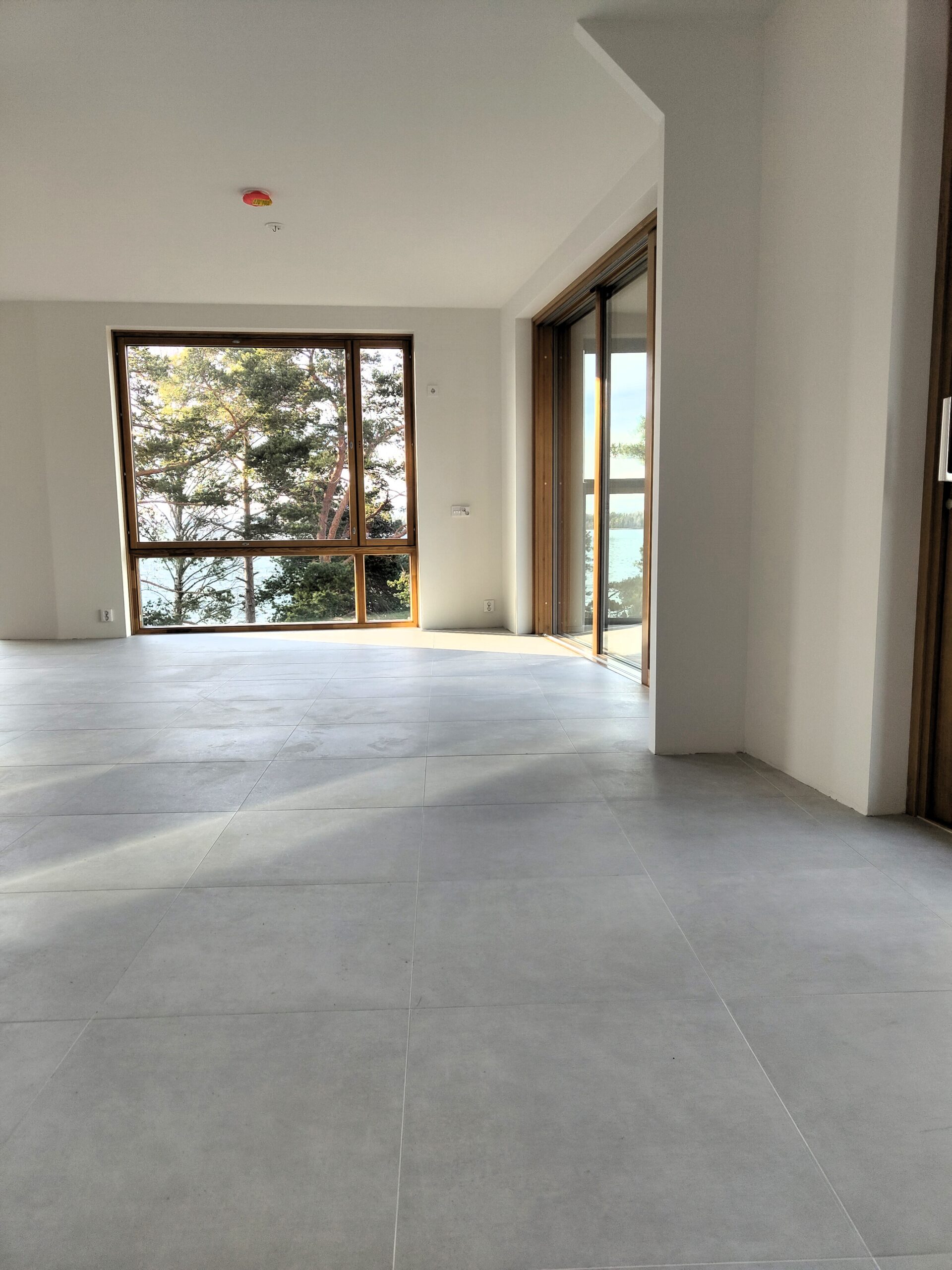 IMG_20231122_111603067-scaled